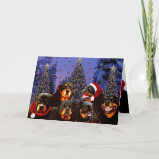 Cartes Pour Fêtes Annuelles Noël de rottweiler