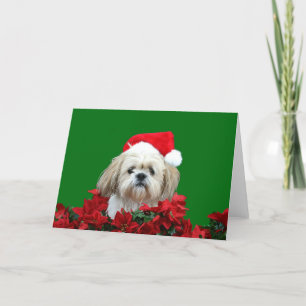 Cartes Pour Fêtes Annuelles Noël de Shih Tzu