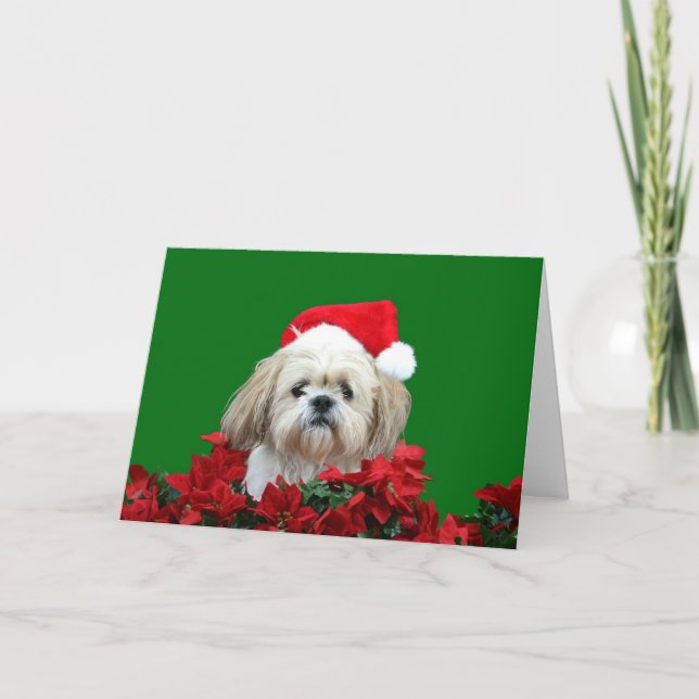 Cartes Pour Fêtes Annuelles Noël de Shih Tzu (Devant)
