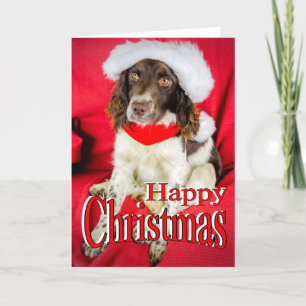 Cartes Pour Fêtes Annuelles Noël de Springer