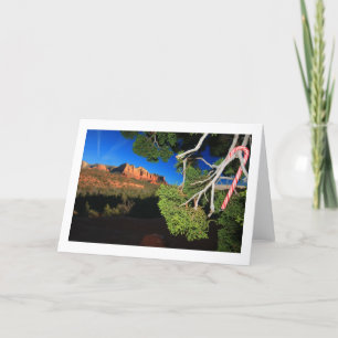Cartes Pour Fêtes Annuelles Noël de sud-ouest