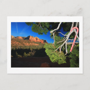 Cartes Pour Fêtes Annuelles Noël de sud-ouest