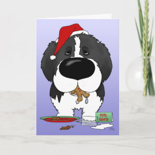 Cartes Pour Fêtes Annuelles Noël de Terre-Neuve