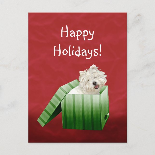 Cartes Pour Fêtes Annuelles Noël de Westie (Devant)