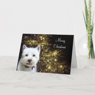Cartes Pour Fêtes Annuelles Noël de Westie