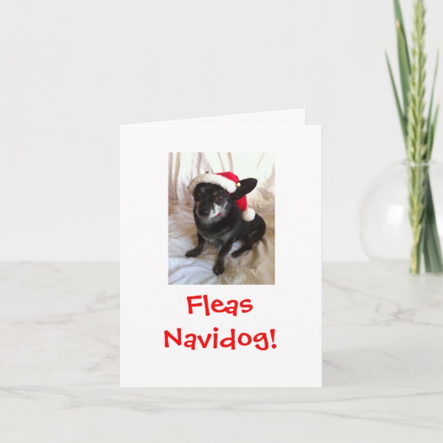 Cartes Pour Fêtes Annuelles Noël d'Elvis (Devant)