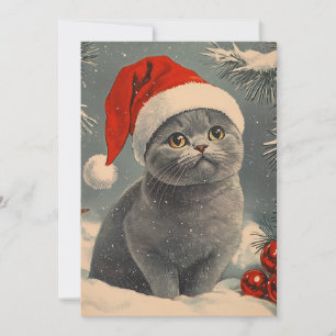 Cartes Pour Fêtes Annuelles Noël des chats Chartreux