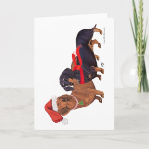 Cartes Pour Fêtes Annuelles Noël des Dachshunds