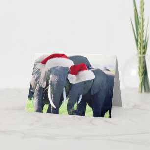 Cartes Pour Fêtes Annuelles Noël des éléphants inoubliable