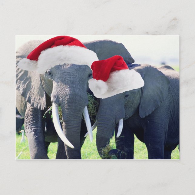 Cartes Pour Fêtes Annuelles Noël des éléphants inoubliable (Devant)