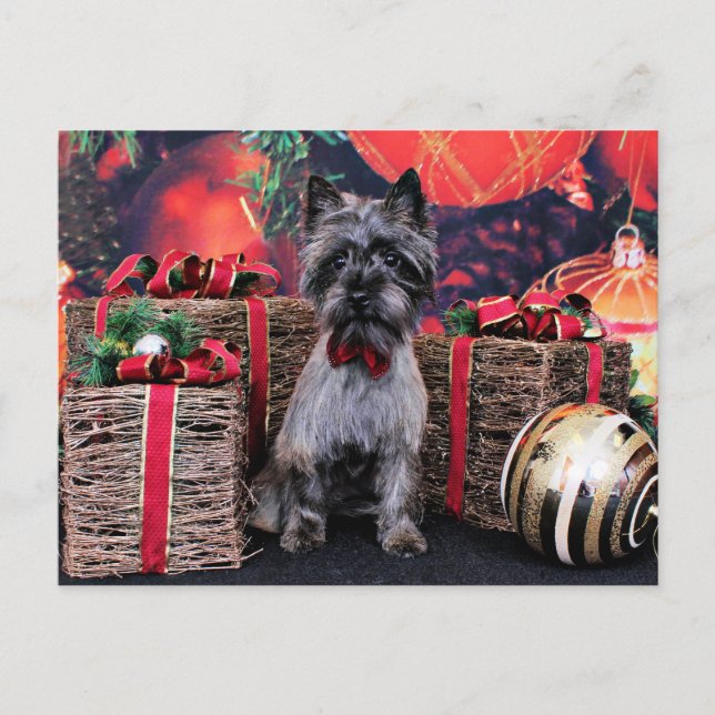 Cartes Pour Fêtes Annuelles Noël - Dexter - cairn (Devant)