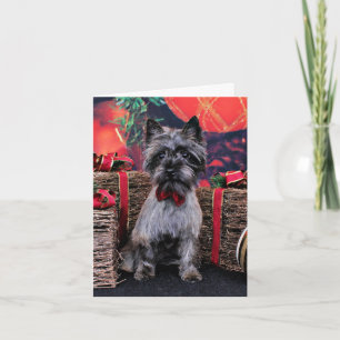 Cartes Pour Fêtes Annuelles Noël - Dexter - Cairn