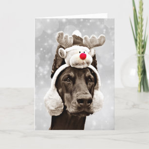 Cartes Pour Fêtes Annuelles Noël d'hiver de dobermann Joyeux