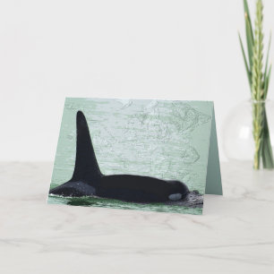 Cartes Pour Fêtes Annuelles Noël d'île de San Juan d'orque de Noël Joyeux
