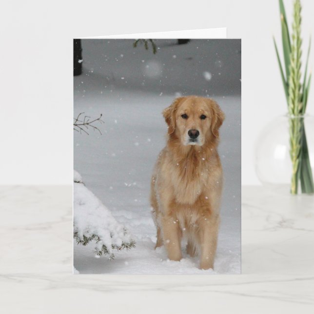 Cartes Pour Fêtes Annuelles Noël doré (Devant)