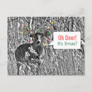 Cartes Pour Fêtes Annuelles Noël drôle - Cerf avec des lumières de Noël