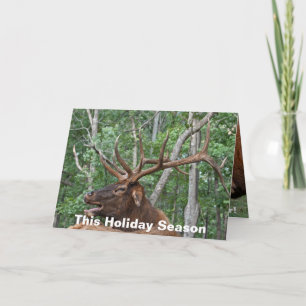 Cartes Pour Fêtes Annuelles Noël drôle d'élans de Taureau