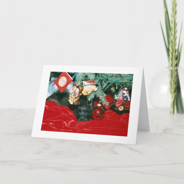 Cartes Pour Fêtes Annuelles Noël du Caire (Devant)