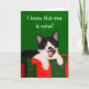 Cartes Pour Fêtes Annuelles Noël du chat de Tuxedo