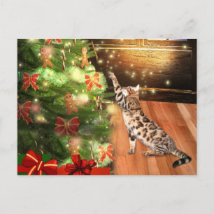 Cartes Pour Fêtes Annuelles Noël du chat du Bengale