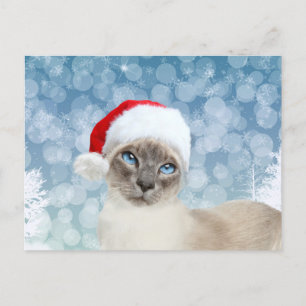 Cartes Pour Fêtes Annuelles Noël du chat siamois