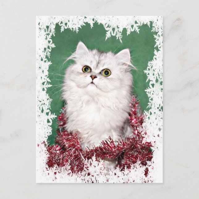 Cartes Pour Fêtes Annuelles Noël du chaton perse (Devant)