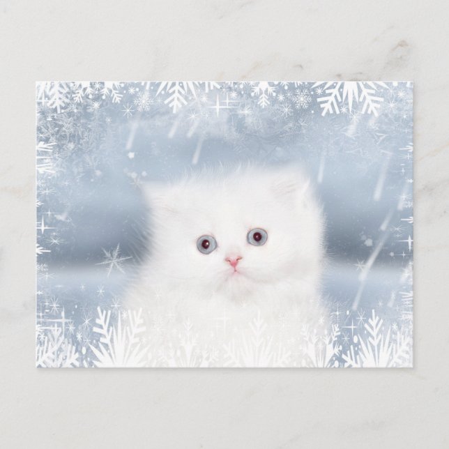 Cartes Pour Fêtes Annuelles Noël du chaton perse blanc (Devant)
