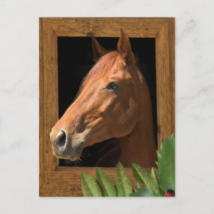 Cartes Pour Fêtes Annuelles Noël du cheval