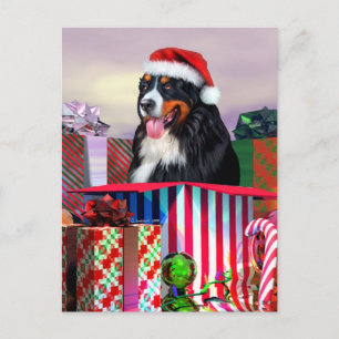Cartes Pour Fêtes Annuelles Noël du chien de montagne bernois Surprise