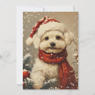 Cartes Pour Fêtes Annuelles Noël du chien maltais