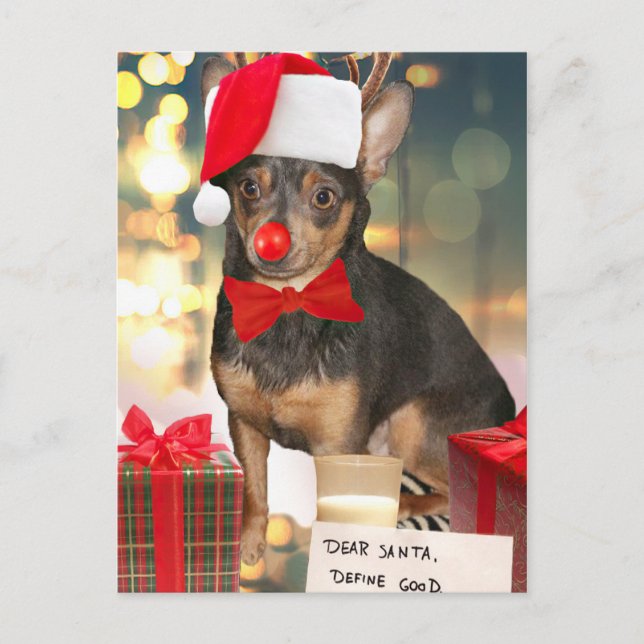 Cartes Pour Fêtes Annuelles Noël du Chihuahua (Devant)