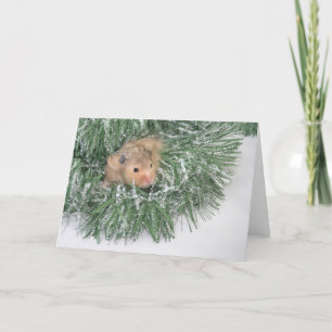 Cartes Pour Fêtes Annuelles Noël du hamster