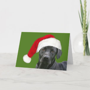 Cartes Pour Fêtes Annuelles Noël du laboratoire noir