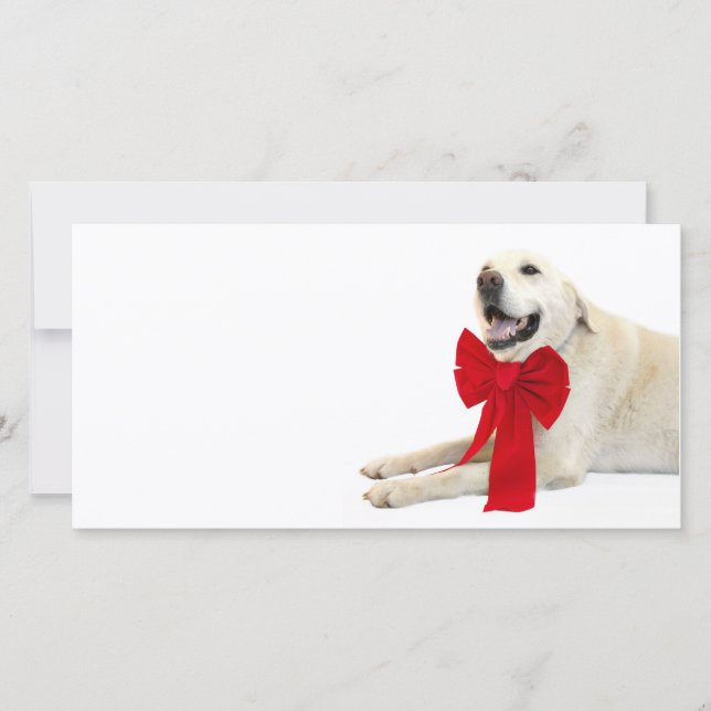 Cartes Pour Fêtes Annuelles Noël du labrador jaune (Devant)