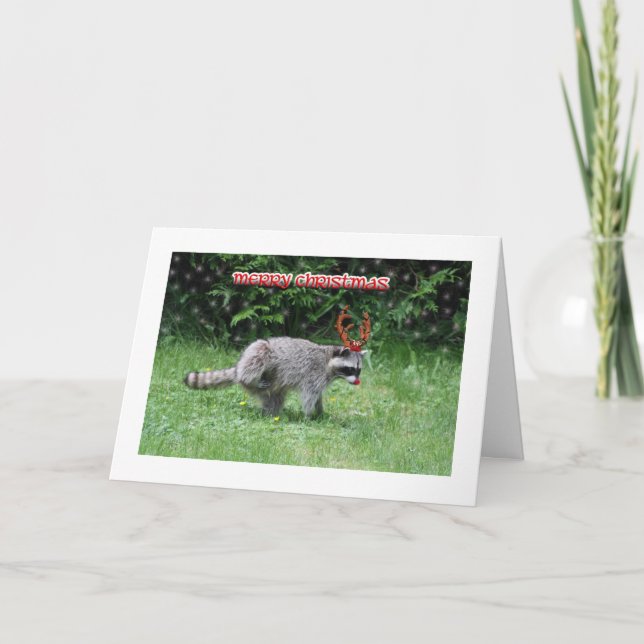 Cartes Pour Fêtes Annuelles Noël du Raccoon (Devant)