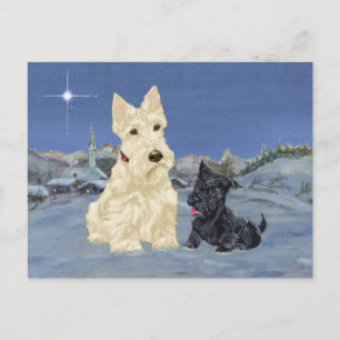 Cartes Pour Fêtes Annuelles Noël écossais et tasse