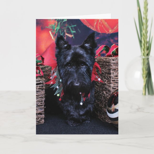 Cartes Pour Fêtes Annuelles Noël - Ecosse - Paisley (Devant)