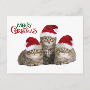 Cartes Pour Fêtes Annuelles Noël en Italie