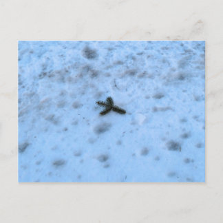 Cartes Pour Fêtes Annuelles Noël en Nouvelle-Angleterre