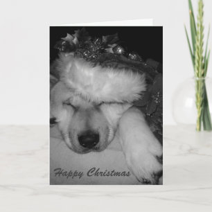 Cartes Pour Fêtes Annuelles Noël endormi de tresse de casquette de père Noël