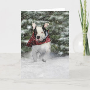 Cartes Pour Fêtes Annuelles Noël enneigé Salutation pour l'Amoureux des chiens