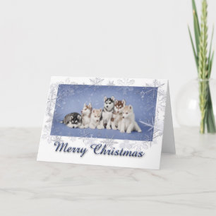 Cartes Pour Fêtes Annuelles Noël enroué
