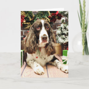 Cartes Pour Fêtes Annuelles Noël - épagneul de springer anglais - Logan