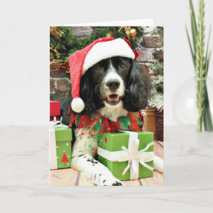 Cartes Pour Fêtes Annuelles Noël - épagneul de springer anglais - Lucy