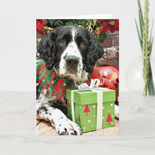 Cartes Pour Fêtes Annuelles Noël - épagneul de springer anglais - prise de bec