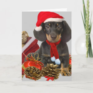 Cartes Pour Fêtes Annuelles Noël et ornements de Dachshund