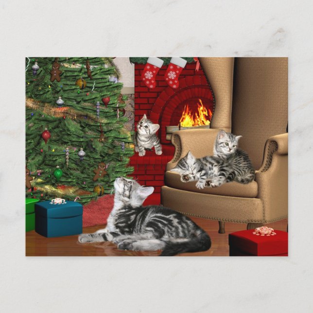 Cartes Pour Fêtes Annuelles Noël familial Tabby (Devant)