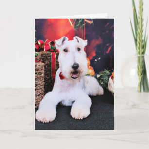 Cartes Pour Fêtes Annuelles Noël - Fox de fil Terrier - Dexter