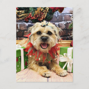 Cartes Pour Fêtes Annuelles Noël - Frontière Terrier - Reagan