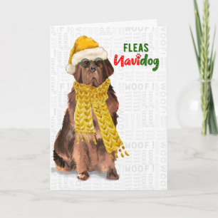 Cartes Pour Fêtes Annuelles Noël Funny Terre-Neuve Fleas NaviDOG
